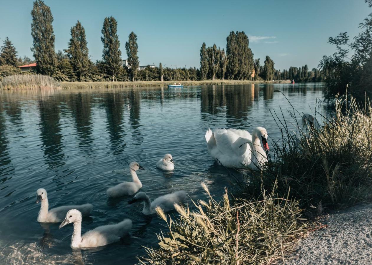 La Forgia Apartment Peschiera del Garda Buitenkant foto